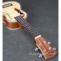 Aangepaste belettering palissander ukelele